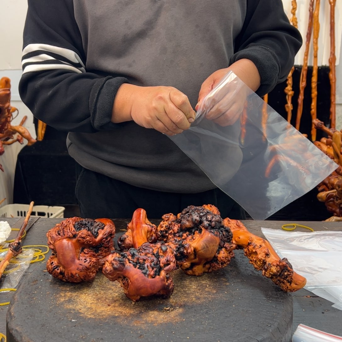 黑果木其他黑果木518