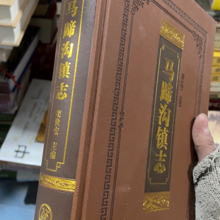 马蹄沟镇志精装书籍
