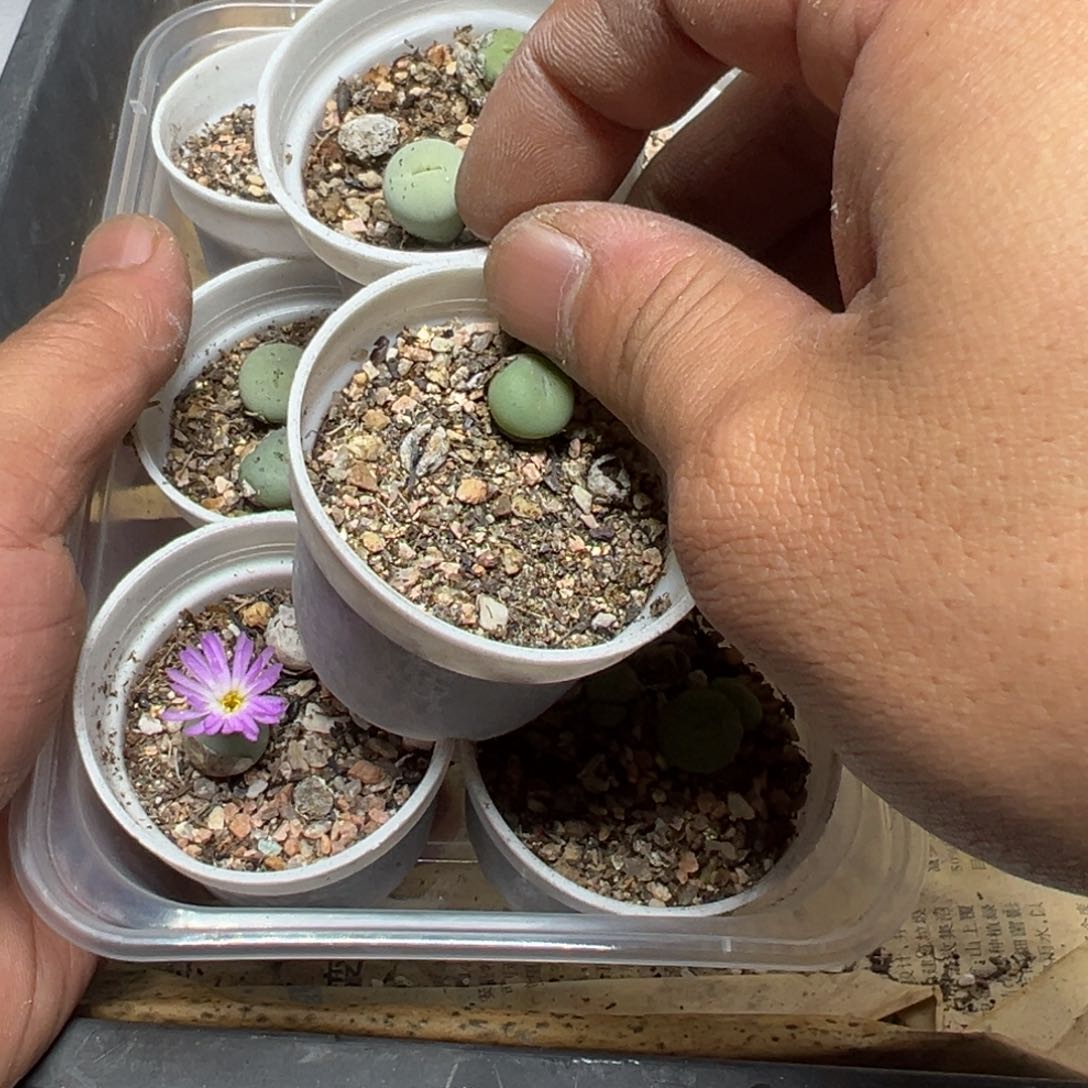 【闪购商品】 580。        