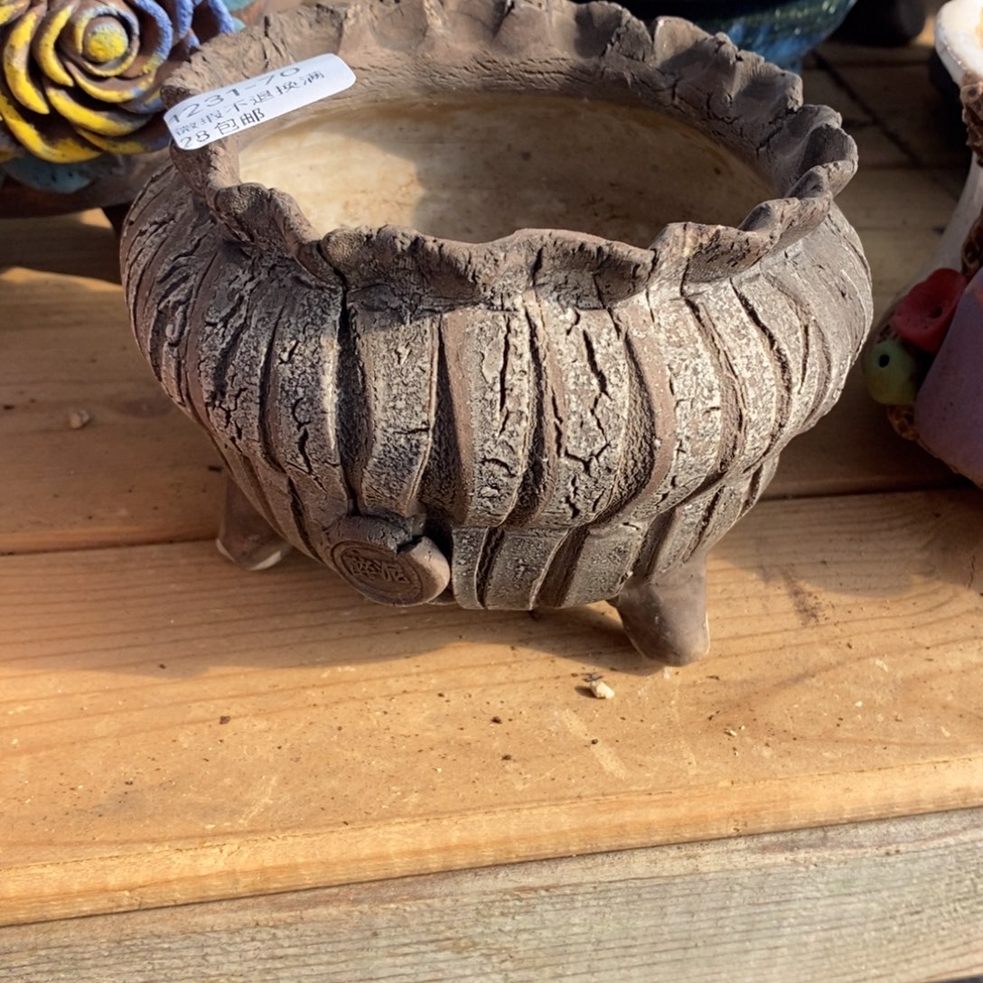 70号多肉盆口径11