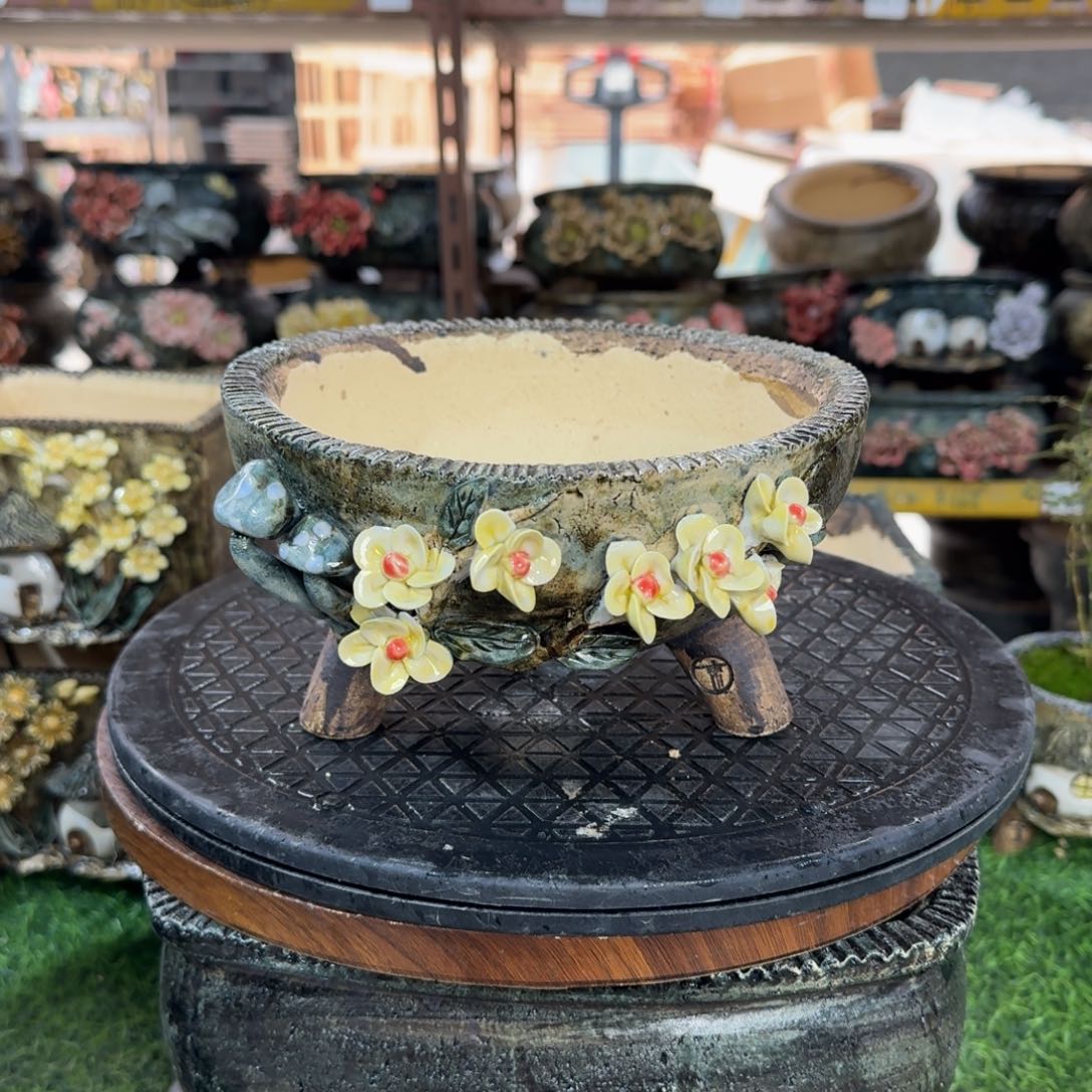 红陶口17高11左右