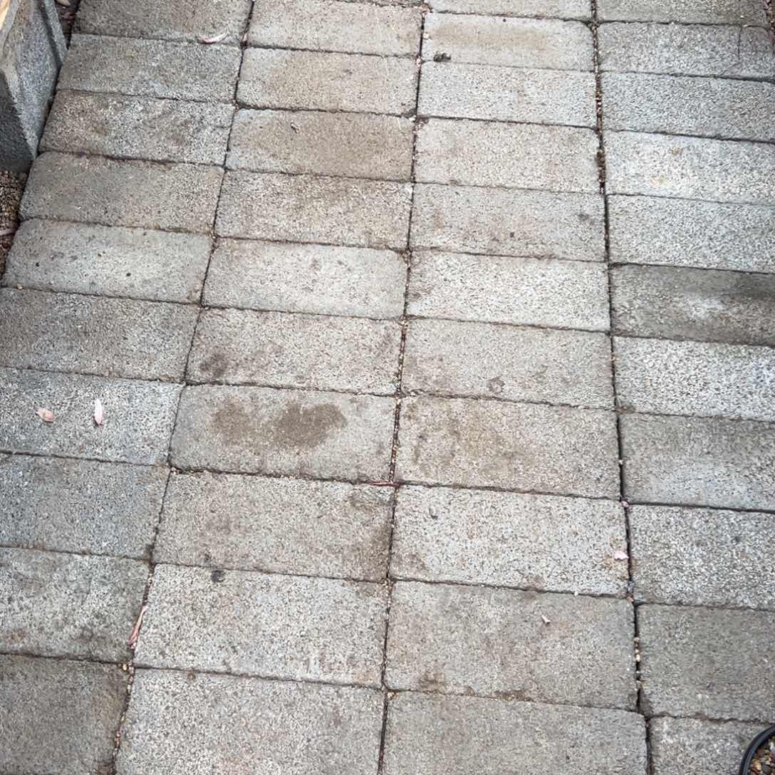 楠****1111111111111111111