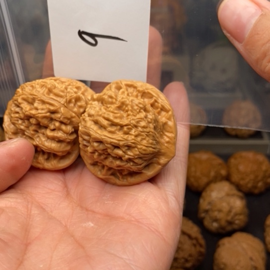 桃核吊坠`***’9望月狮子