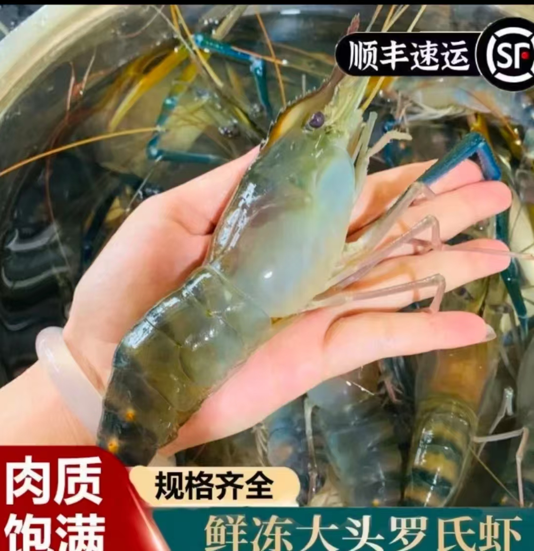 鲜活速冻罗氏大虾肉质鲜美10-13只/斤顺丰冷链发货 3斤