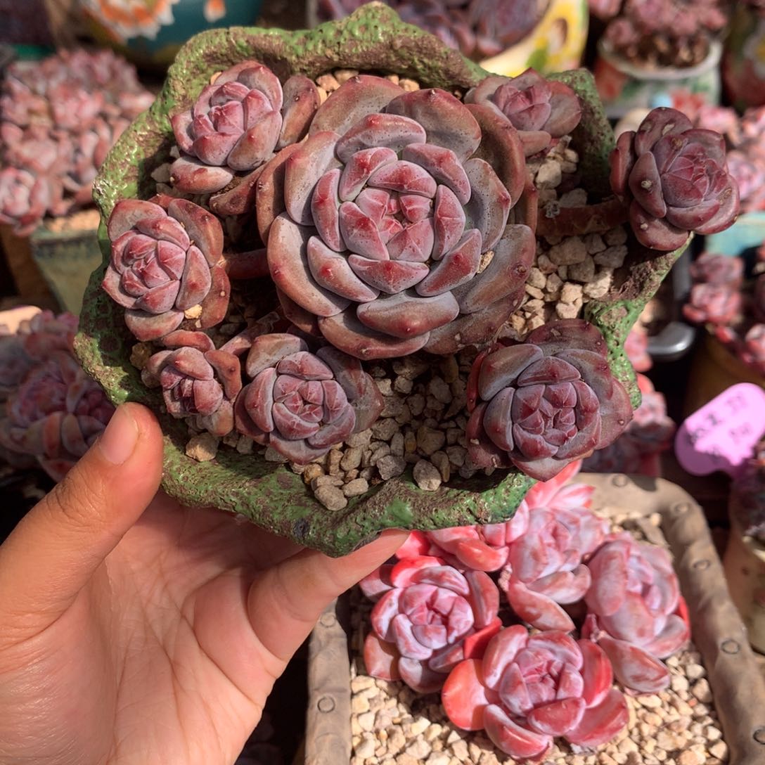 哈哈哈哈哈哈哈哈17