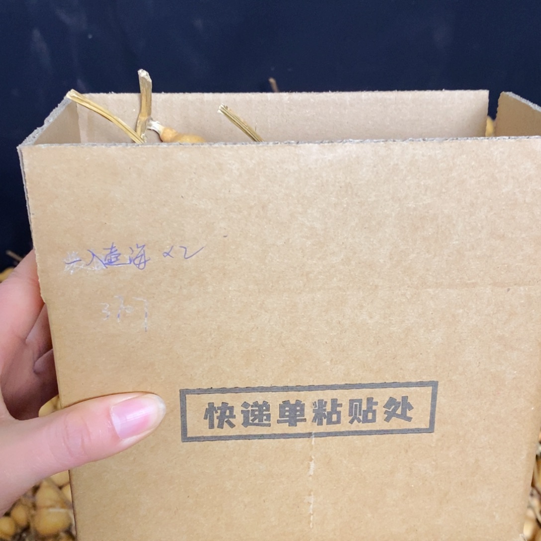 一入湖海的五十个专属