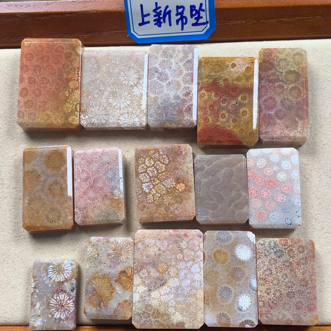 未镶嵌上新吊坠40/个，可挑。08硅化珊瑚（珊瑚玉）