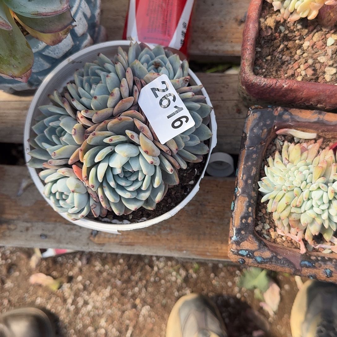 三*2882939393939933