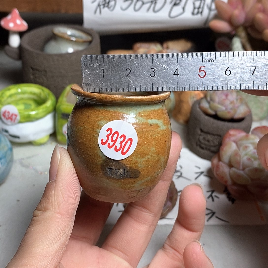 红陶拍5送一个小