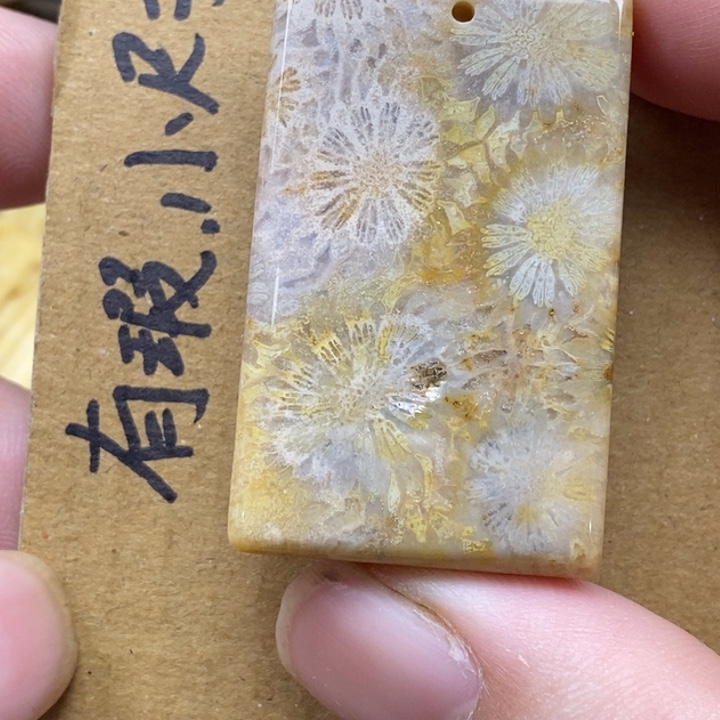 硅化珊瑚（珊瑚玉）未镶嵌颈饰