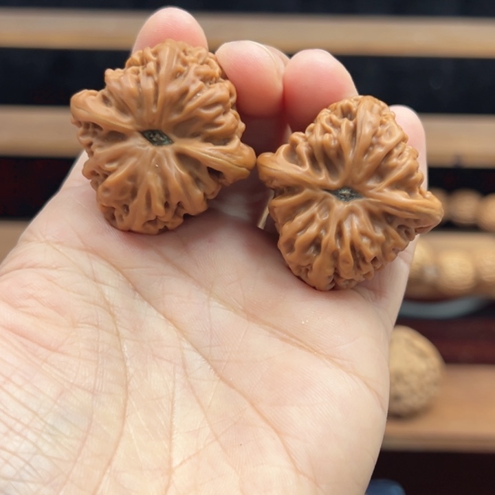 姜***涛涿鹿南京石文玩核桃