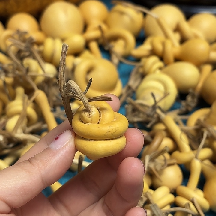 雷****一把葫芦便宜漏了