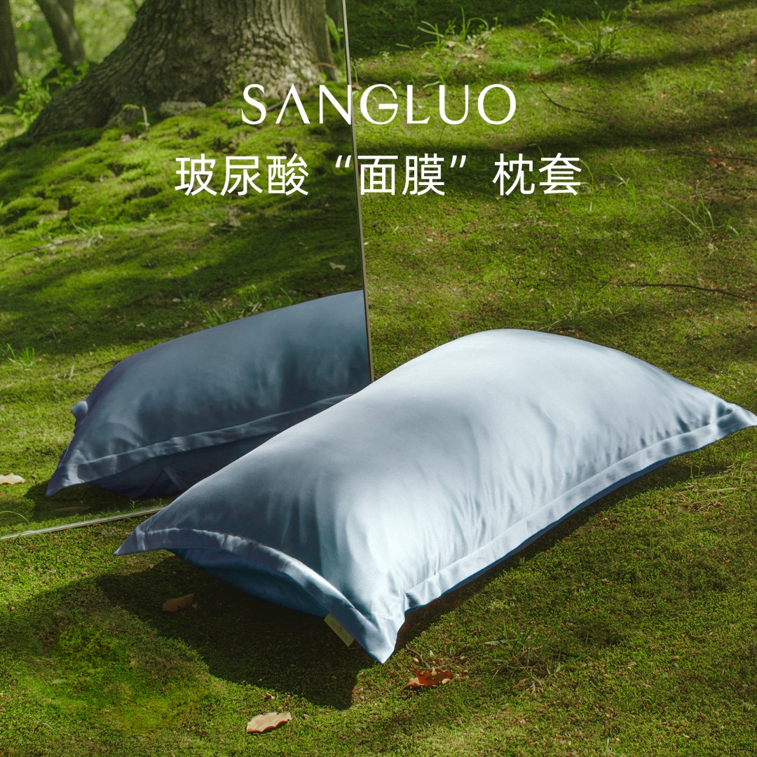 【一对枕套送礼盒！】桑罗双面100%桑蚕丝玻尿酸真丝枕头套02024401商品图