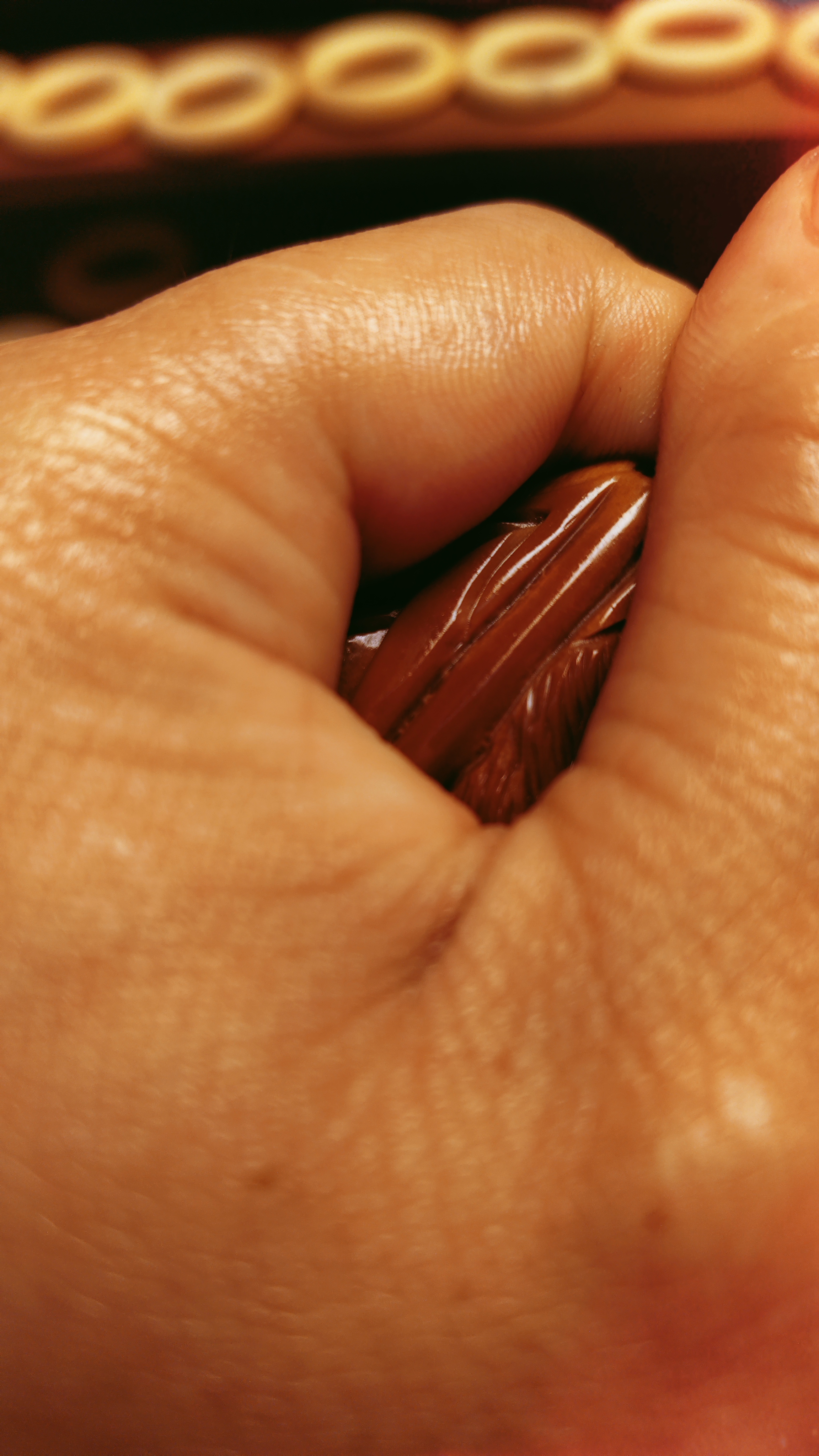 巴西橄榄核，生命四户型