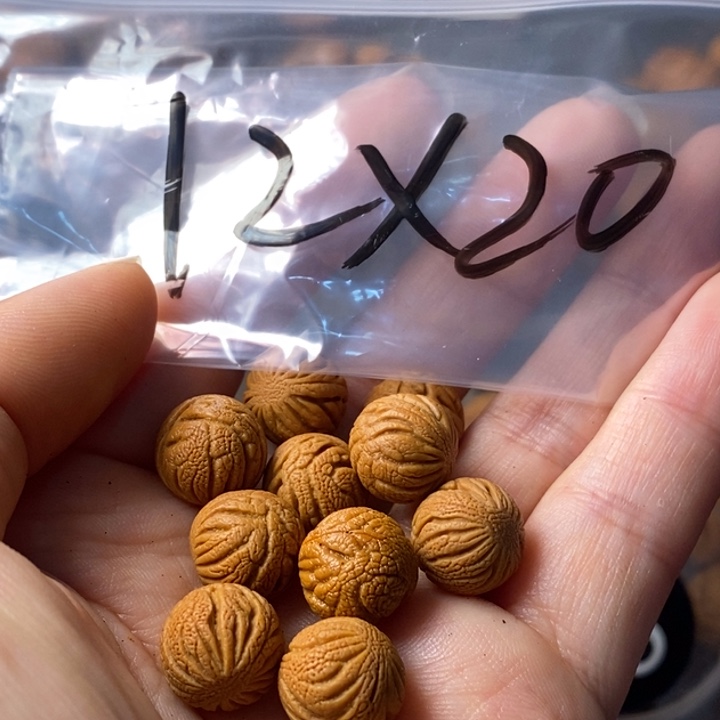 文玩核桃手串秦岭野生龙纹桃核12