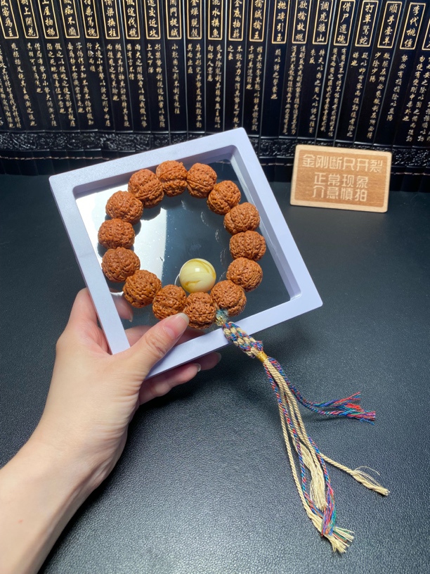 新品，尼泊尔金刚菩提（5号）