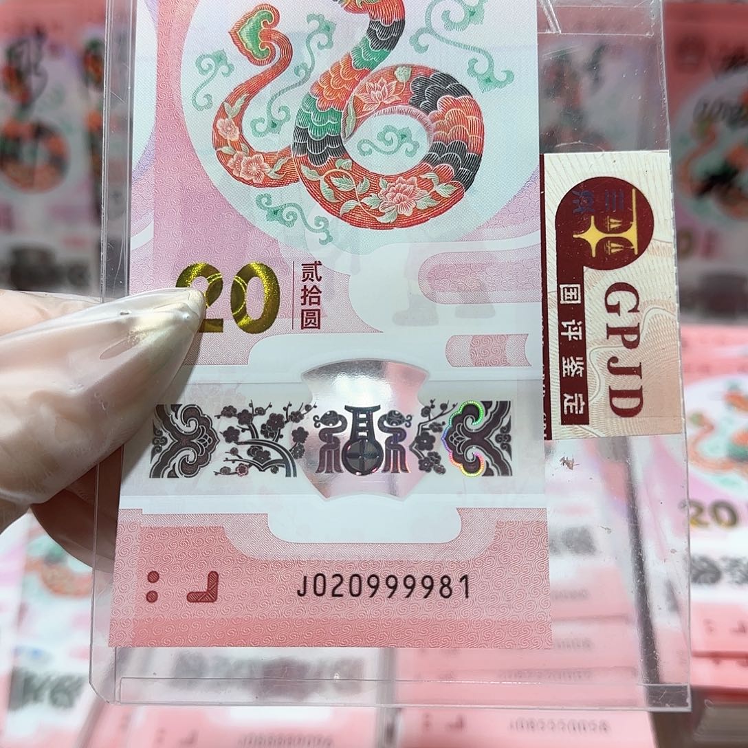 塑料020999981。。。。。。。狮子身朦胧号