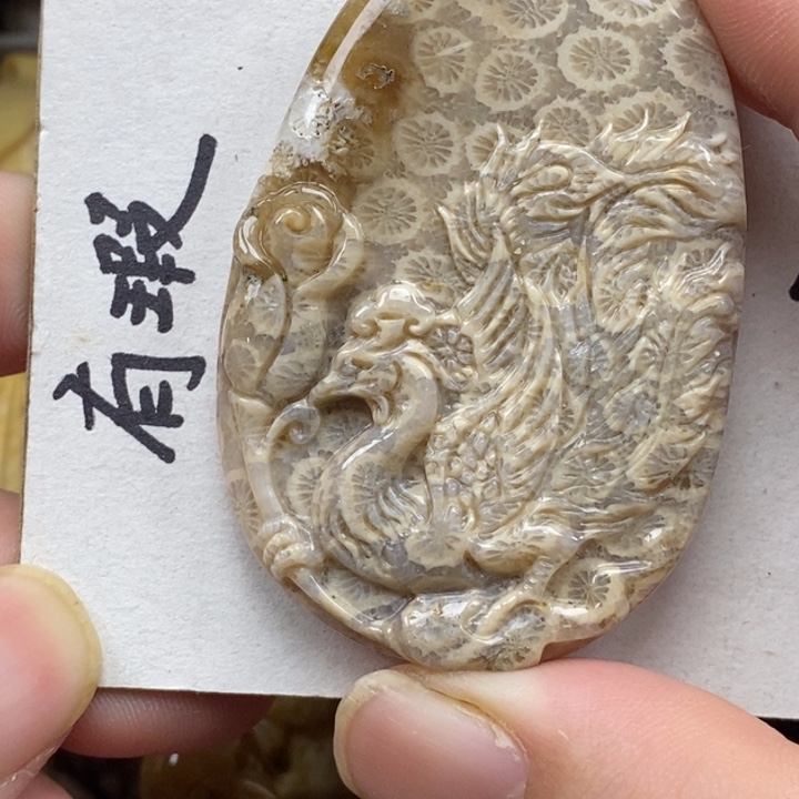 硅化珊瑚（珊瑚玉）未镶嵌颈饰