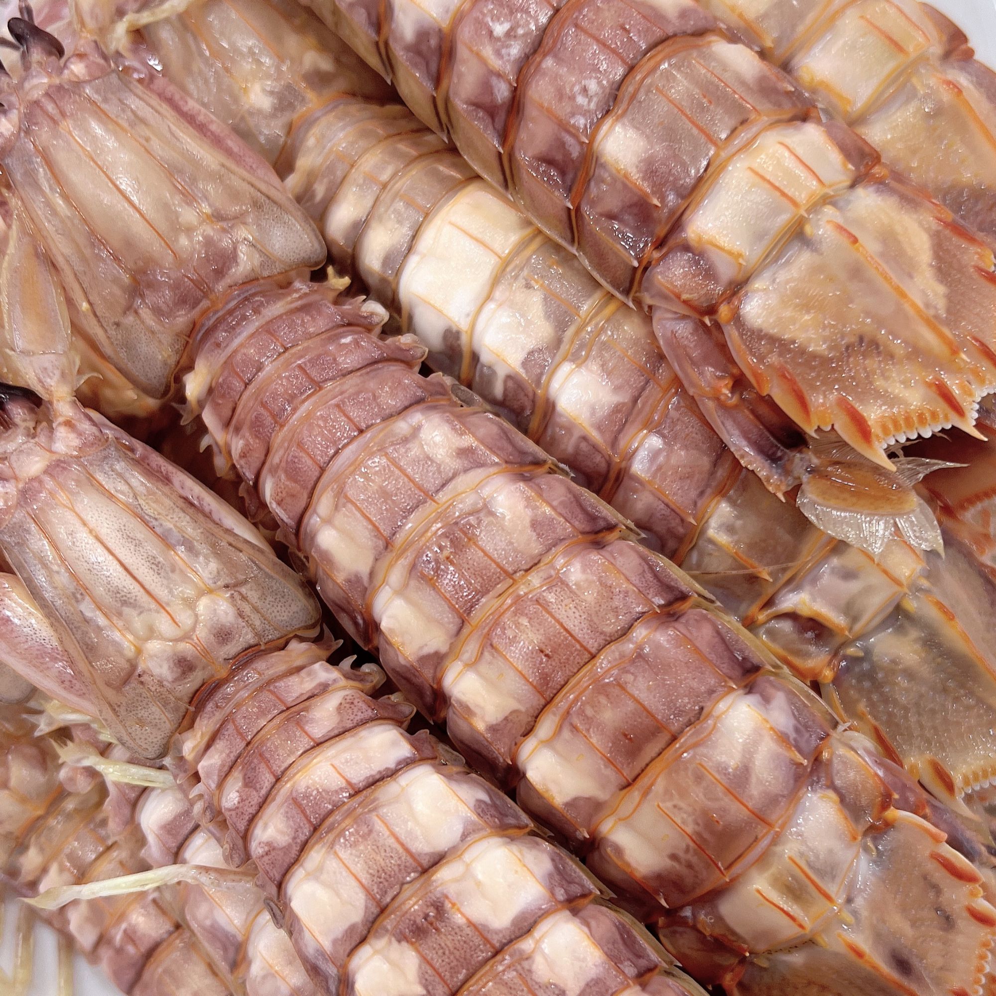 福利虾爬子100元4斤免费清蒸