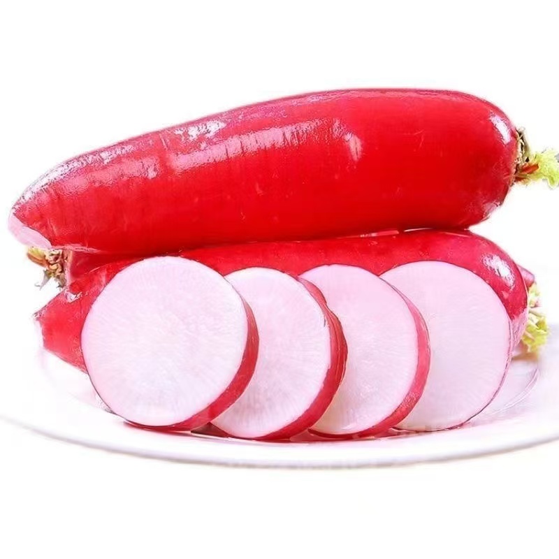 红皮白肉水果萝卜沙窝萝卜阿达家菜地