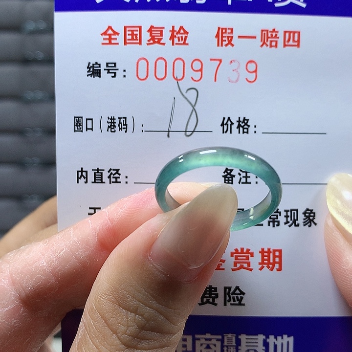 翡翠未镶嵌戒圈wp9739