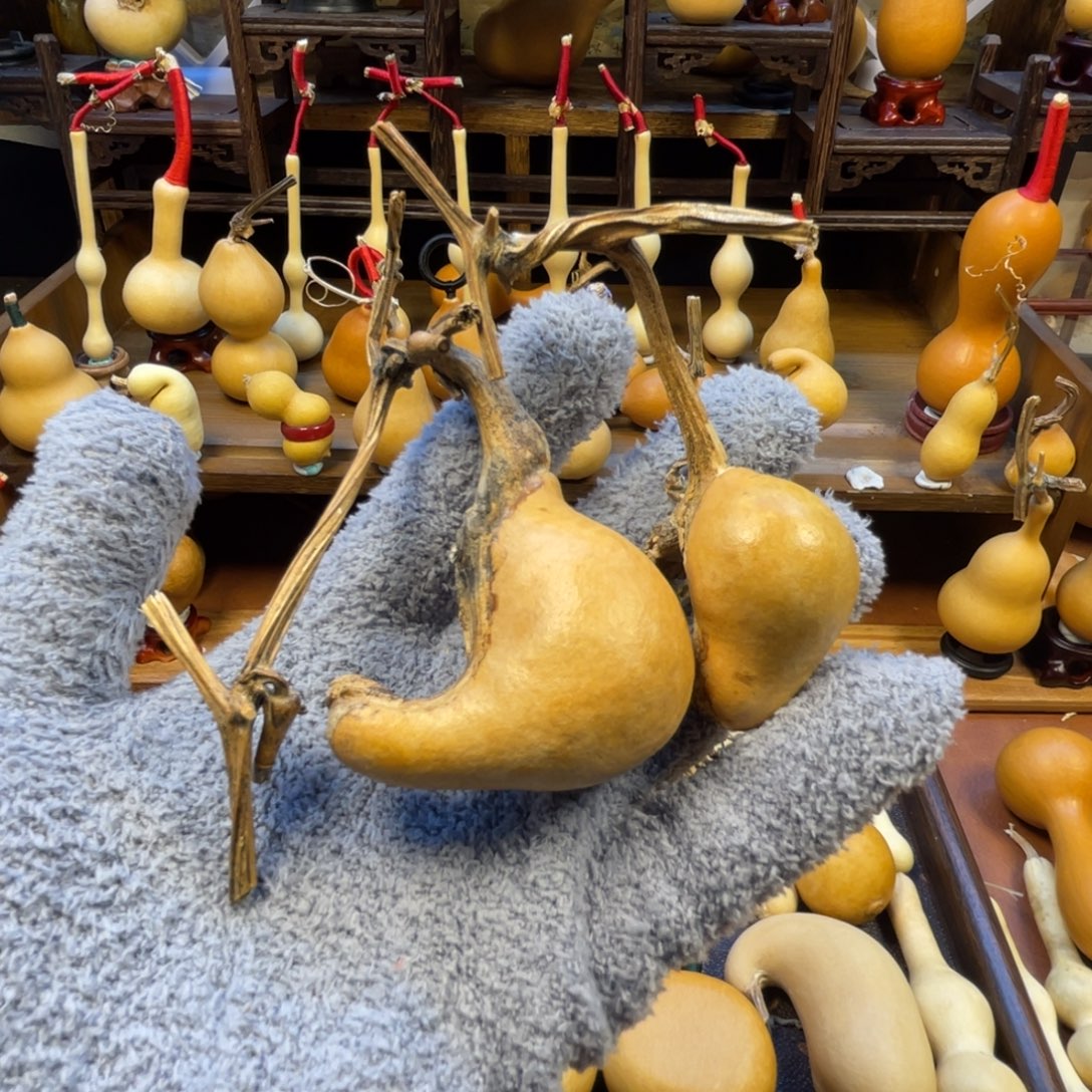 白***粥葫芦葫芦葫芦葫芦