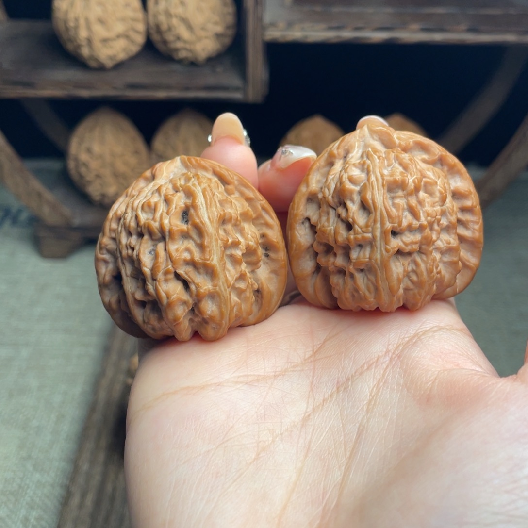 C***y木质三角白42 全品