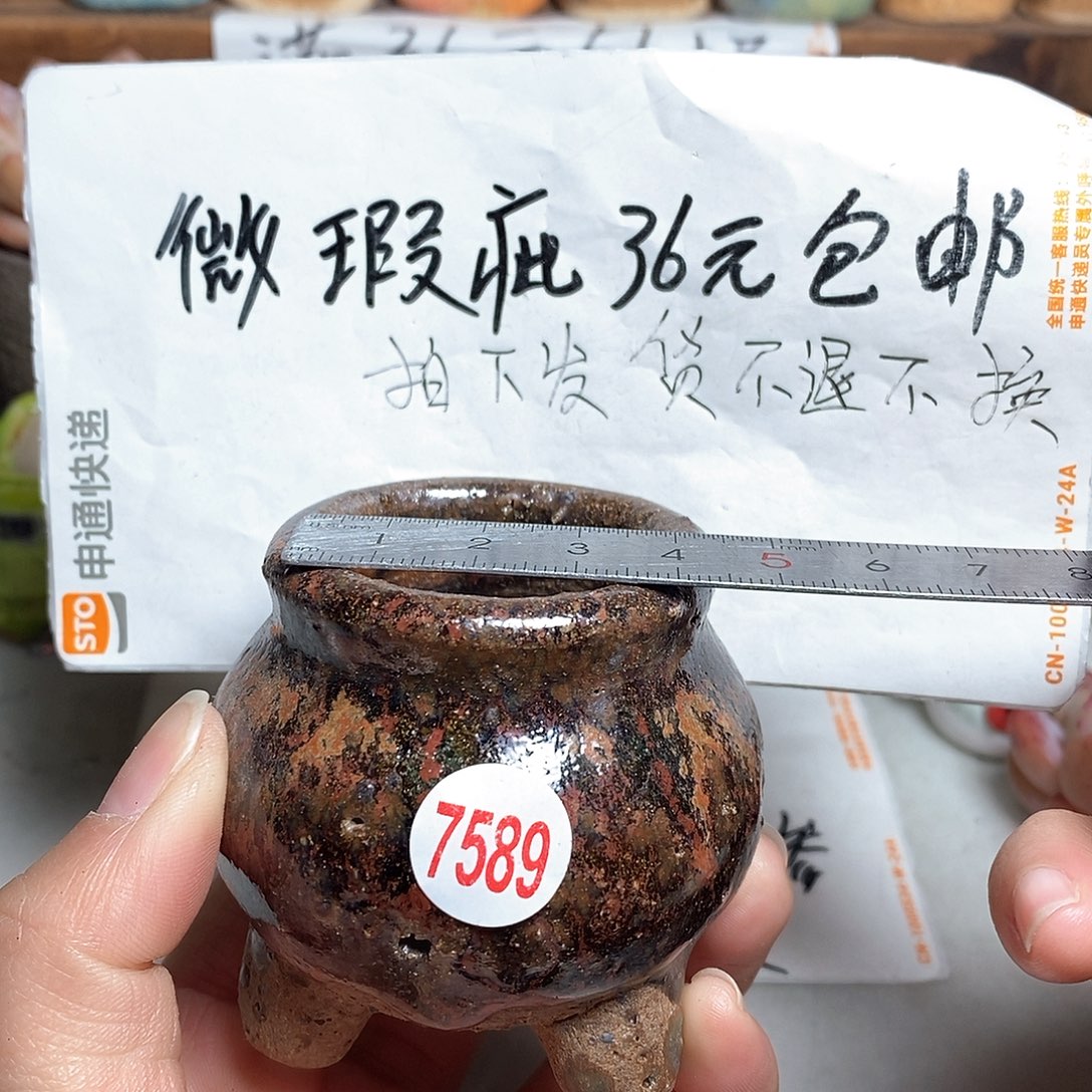 红陶拍5送一个小