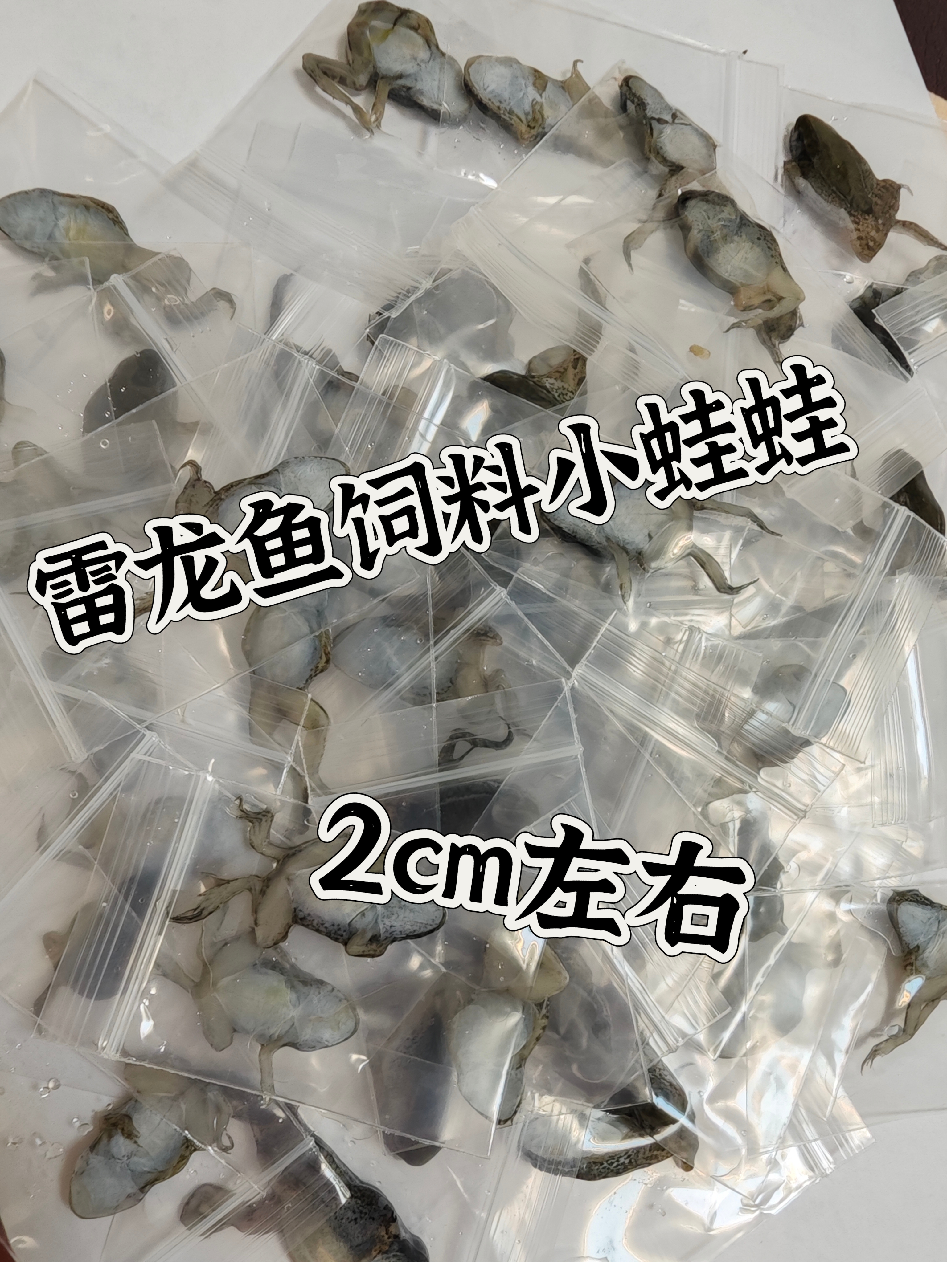 独立包装冷冻稻田蛙雷龙鱼龟肉食性鱼高蛋白饲料长帆神器