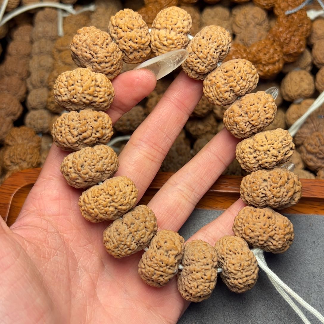 菩提37号尼泊尔大金刚24夹板菠萝蜜头货