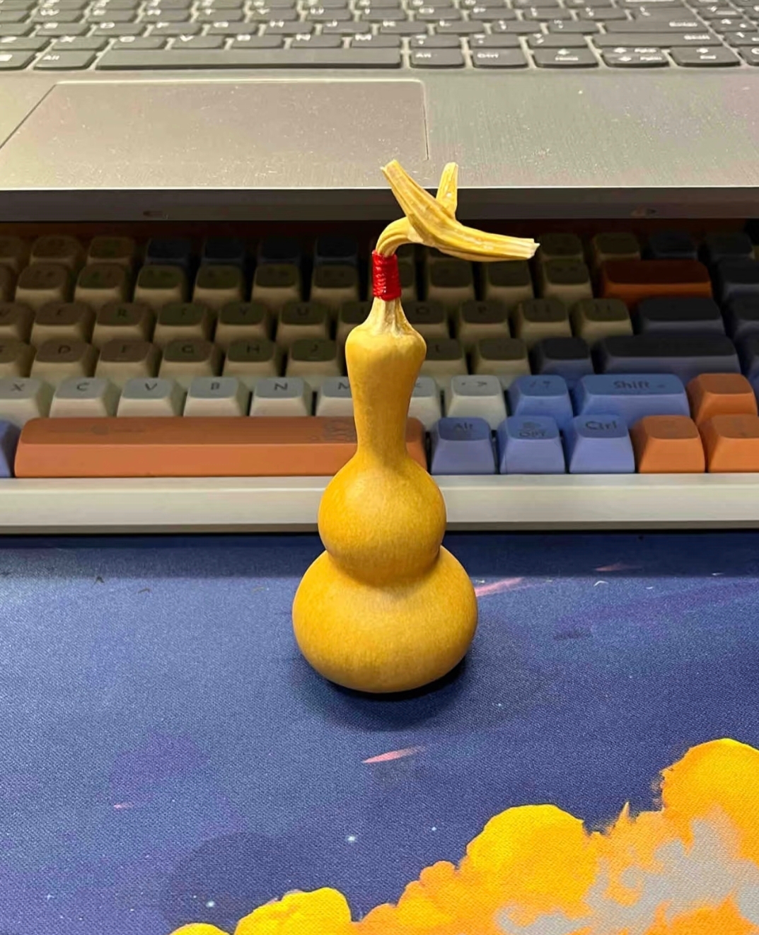 直播专用（一单一拍）