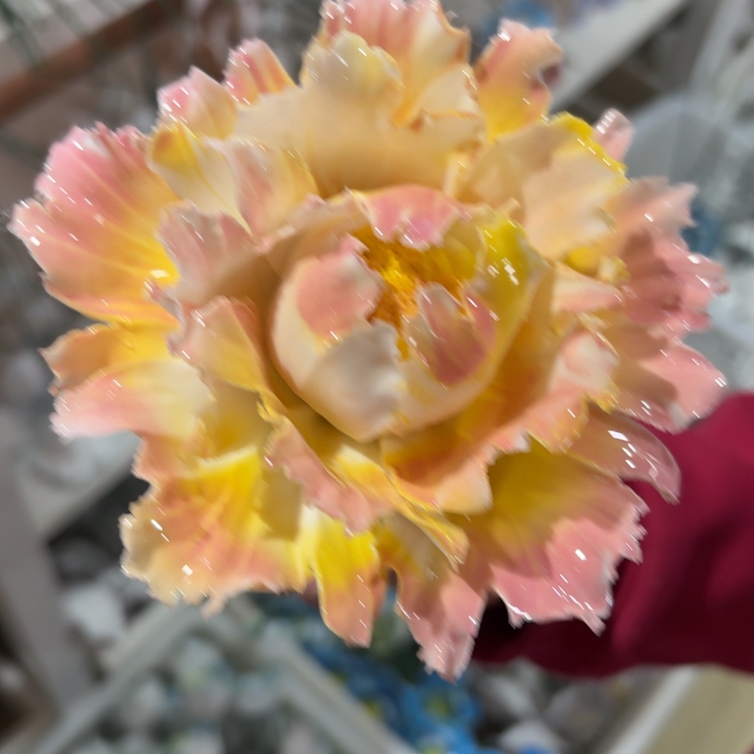 满20元发货退款拉黑