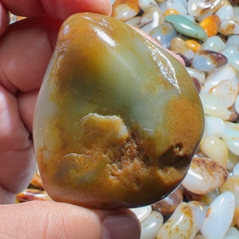 和田玉（糖玉）手链未镶嵌31