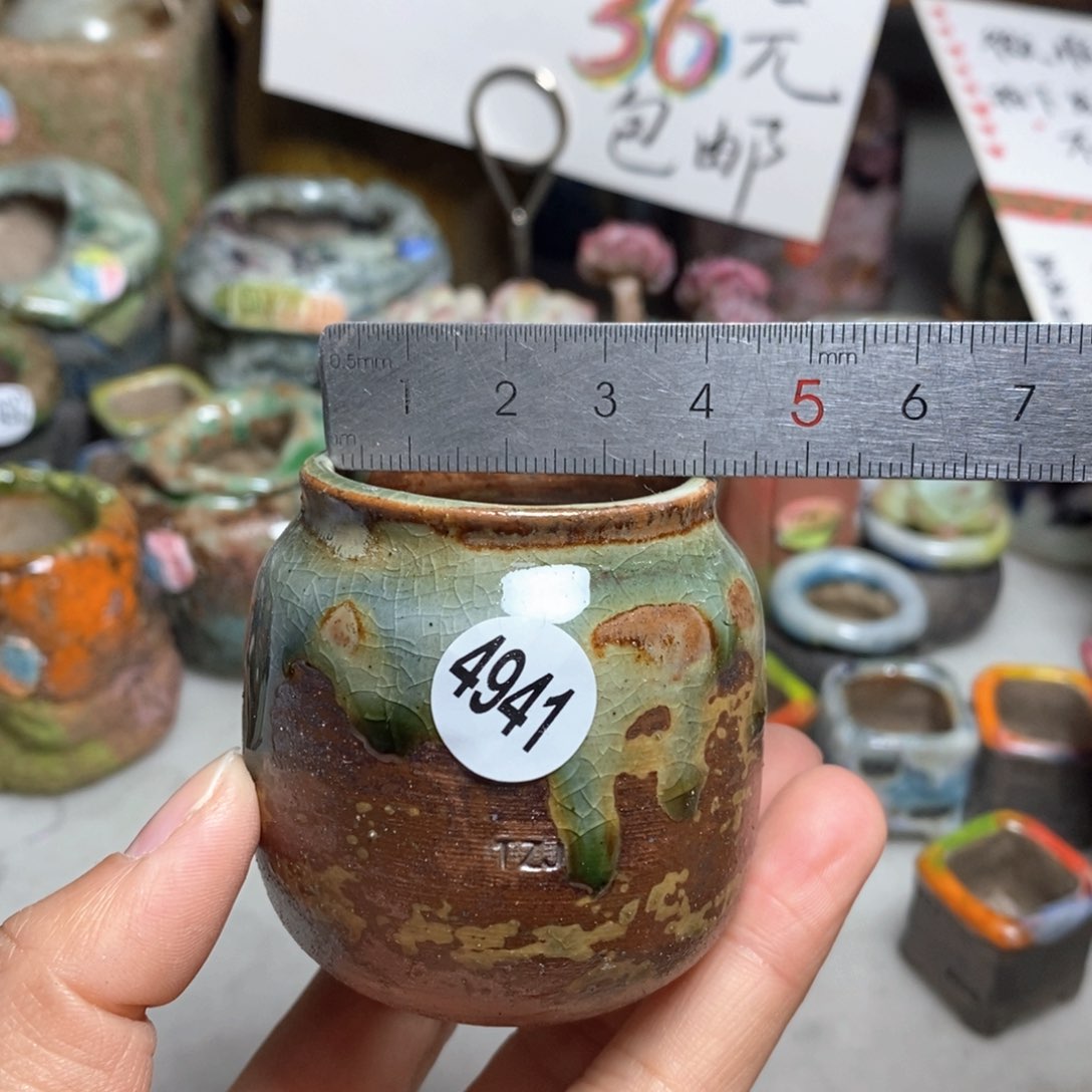 花盆拍5送一个小礼物