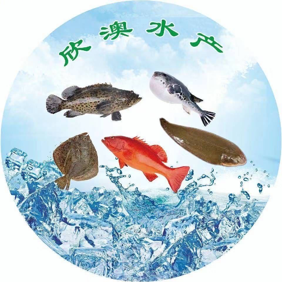 鱼类 改价链接 以直播间为准 5斤 不要盲拍