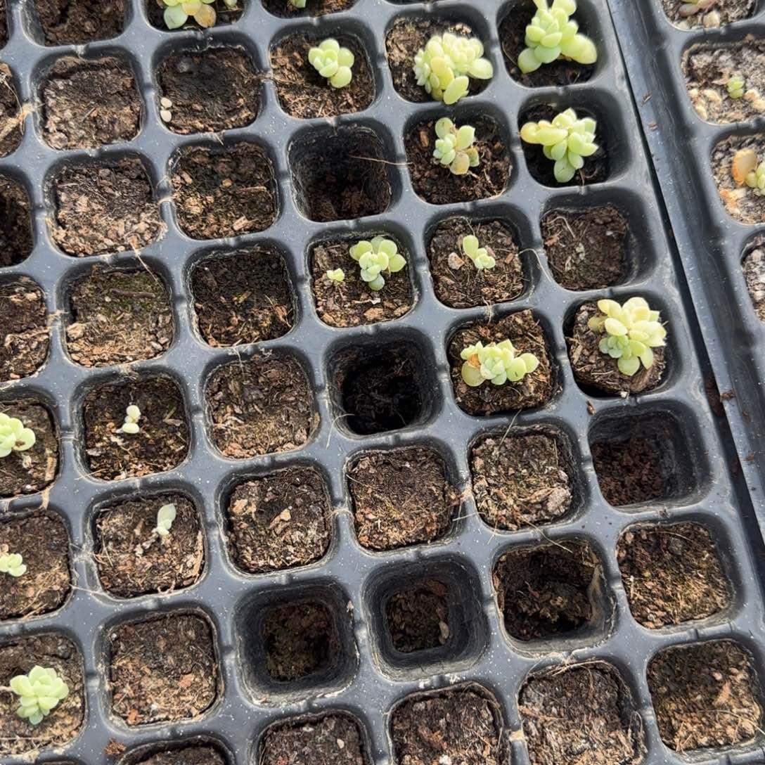 C33 穴一个满25包邮