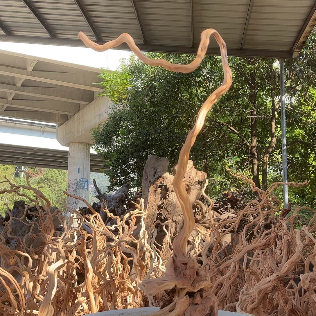 多****木我是一个很喜欢你的人我也不想去想