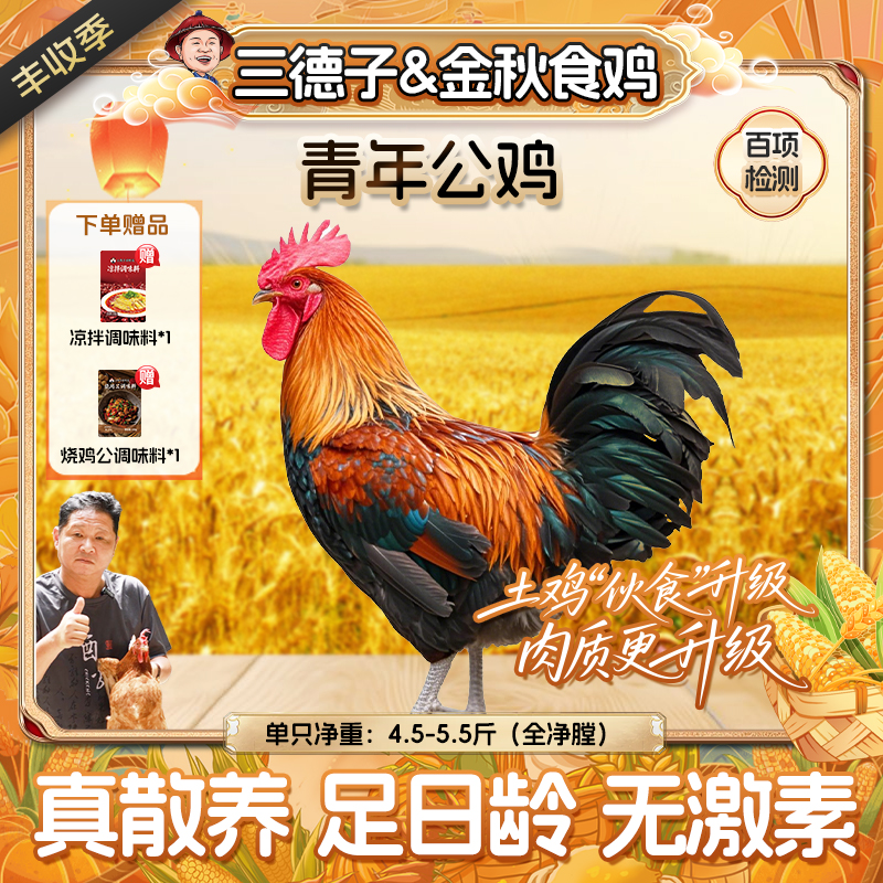 三德子【1只青年公鸡】山地散养200天吃肉炖汤生态鸡跑山鸡新鲜美味
