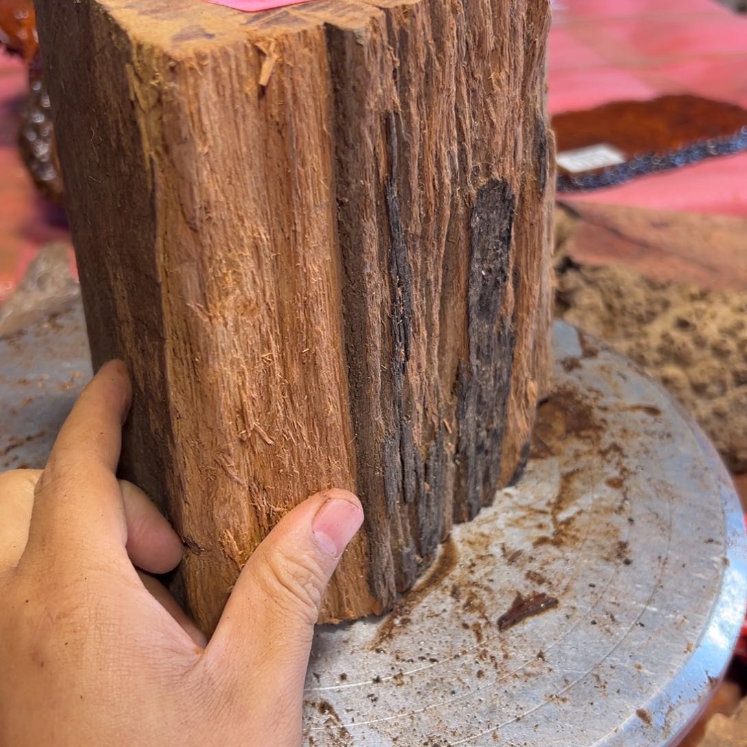 大果紫檀（缅甸花梨）