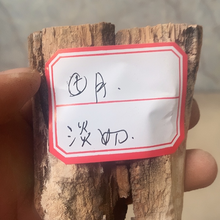 ⑤***月大叶紫檀（黑酸枝木类）