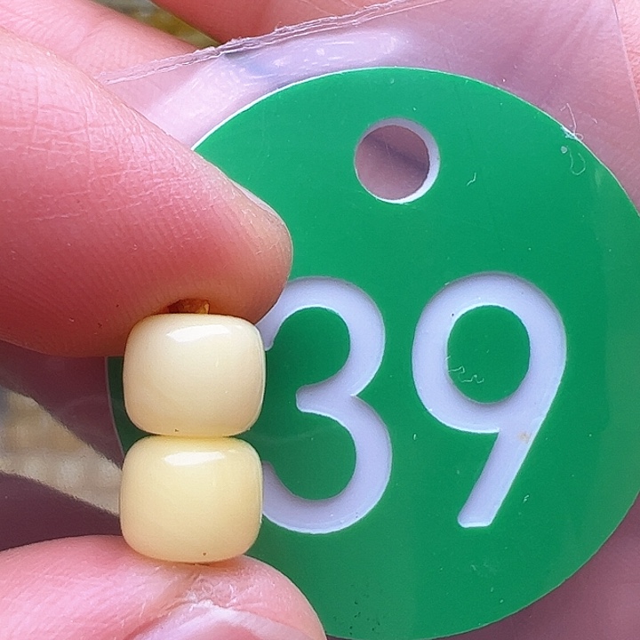 蜜蜡裸石未镶嵌花粉7m m