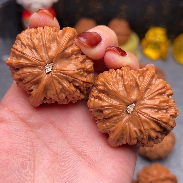 把件文玩核桃邢***长精品精配金麒麟44.8尺寸