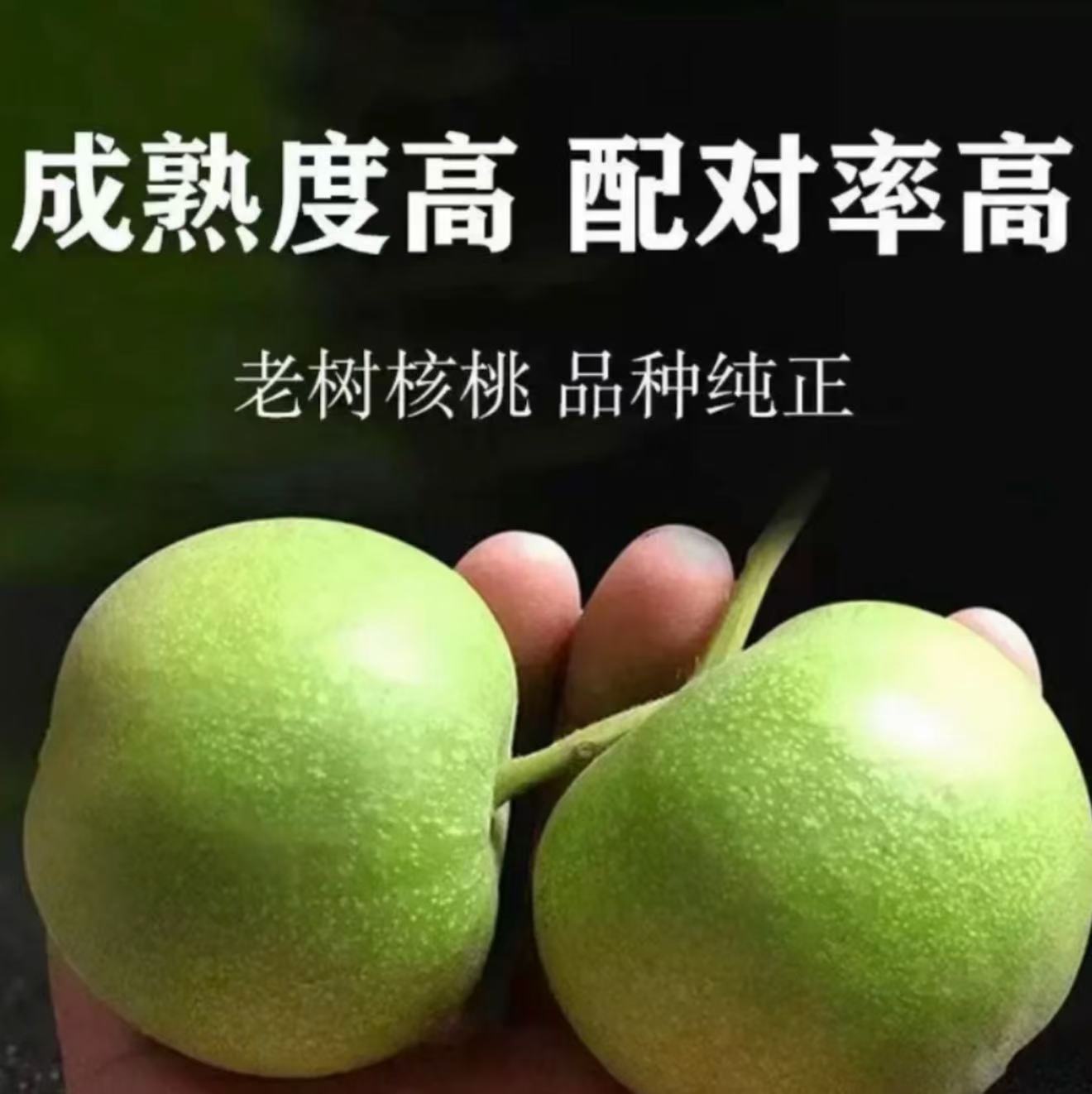 新号福利 苹果园（4个）保熟 保品