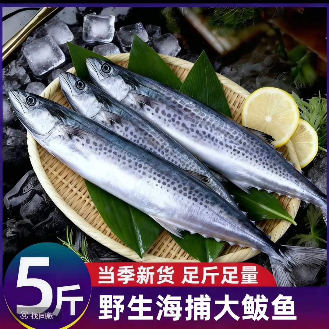 海捕野生燕尾鲅肉质鲜嫩品质好（收到货后需及时放冰箱）