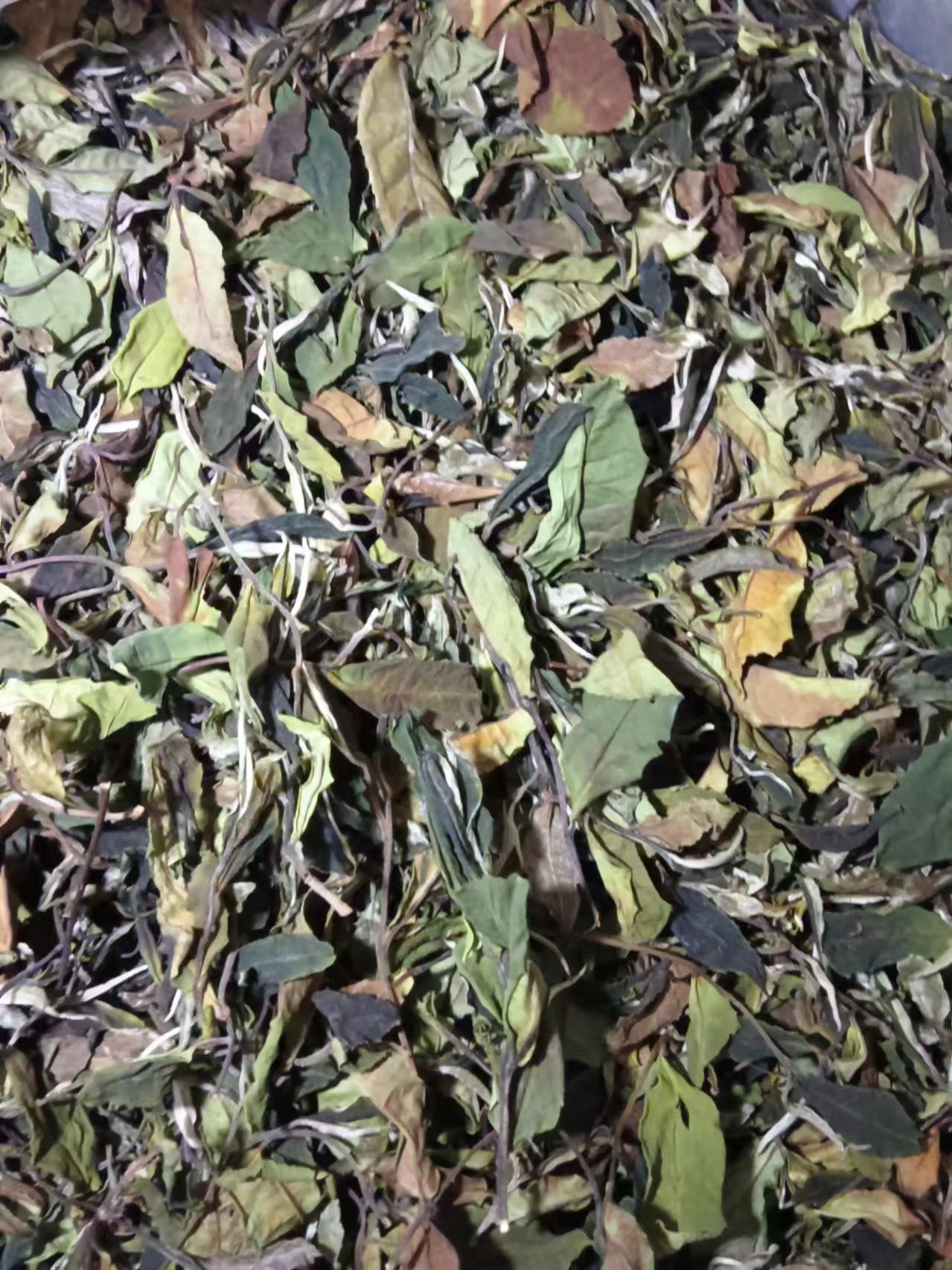 云南古树茶  白茶  500克