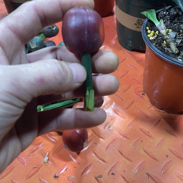 完全开放太过分啦哈哈哈哈好