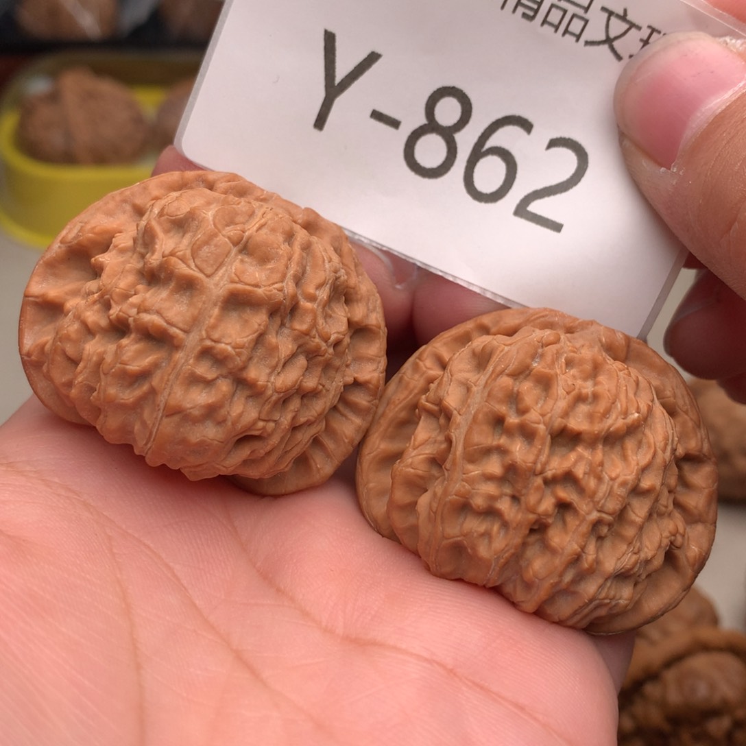 文玩核桃把件41白狮子……………..