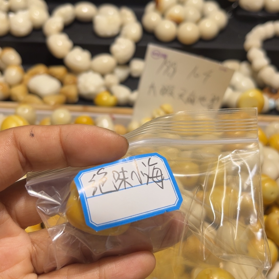 绝***螺吊坠菩提根/象牙果