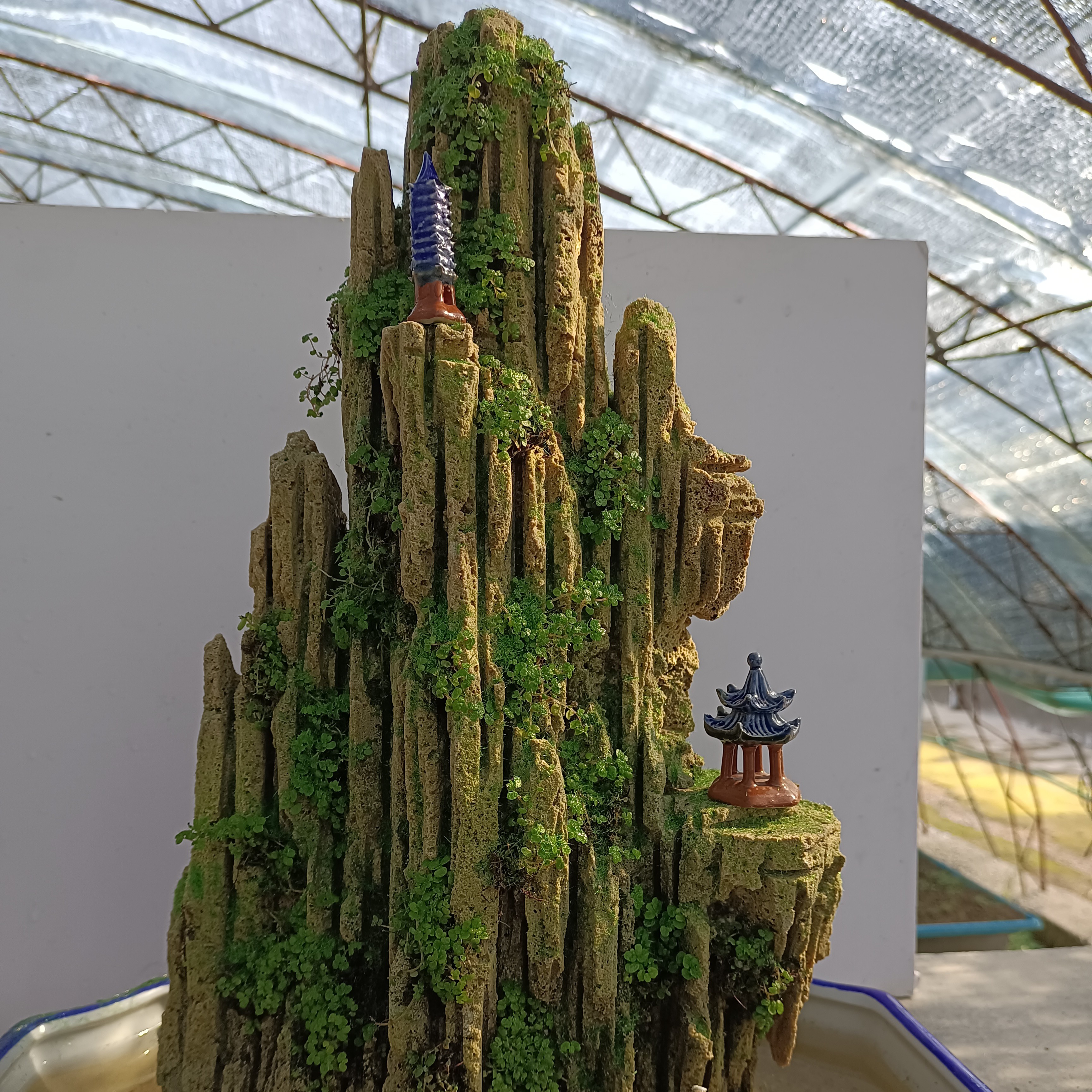 高44盆长38吸水石绿植盆景