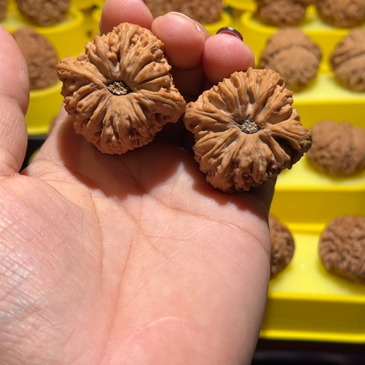 吊坠桃核南疆全品